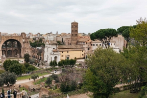 Rome: Colosseum, Forum & Palatine Tour + Arena Option