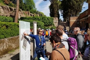 Rome: Priority Entry Colosseum, Forum & Palatine Hill Tour