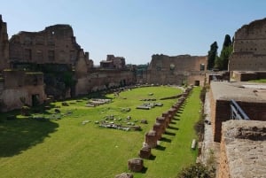 Rome: Priority Entry Colosseum, Forum & Palatine Hill Tour