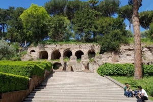 Rome: Priority Entry Colosseum, Forum & Palatine Hill Tour