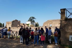 Rome: Priority Entry Colosseum, Forum & Palatine Hill Tour