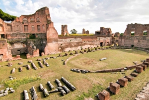 Roma: Visita al Coliseo, Foro y Palatino