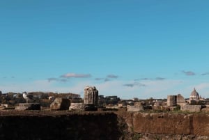 Rome : Visite guidée du Colisée, du Forum romain et de la colline Palatine