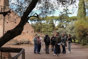 Rome : Visite guidée du Colisée, du Forum romain et de la colline Palatine