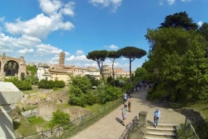 Rome: Skip-the-Line Roman Forum, Palatine & Colosseum Tour