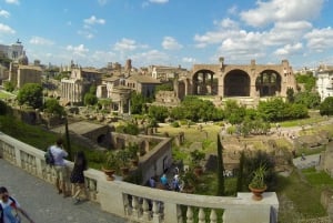 Rome: Skip-the-Line Roman Forum, Palatine & Colosseum Tour