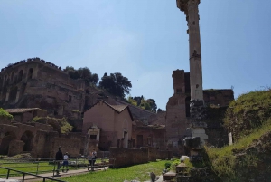 Rome: Colosseum and Ancient Rome Group Tour Experience