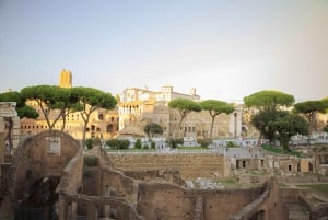 Rome: Small Group Walking Tour in English or Spanish
