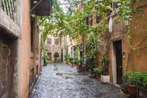 Exclusivo tour a pie de 2 horas: fuentes y plazas de Roma