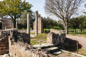 Rom: Dagsudflugt til Tivoli med Villa d'Este og Villa Adriana