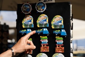 Da Roma alla Costiera Amalfitana: escursione panoramica in treno e barca