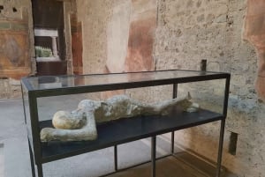 Da Roma a Pompei e Amalfi: una giornata guidata tra storia e mare