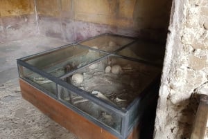 Da Roma a Pompei e Amalfi: una giornata guidata tra storia e mare