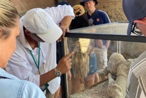 Da Roma a Pompei e Amalfi: una giornata guidata tra storia e mare