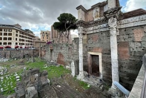 Rome: Tour of the Roman Forum, Trevi Fountain, Pantheon, and much more