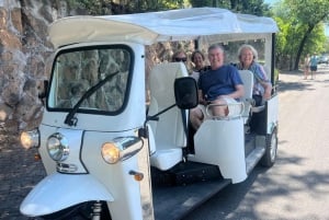 Rome: Tour of the Rome City Center With Tuk Tuk