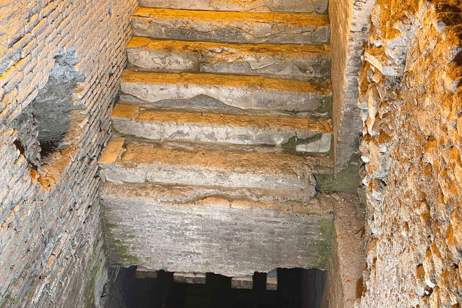 Rom: Trevifontänen Underjordisk rundtur i Trevifontänens distrikt och glass