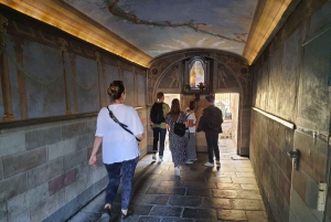 Rome: Trevi Fountain & Other Highlights Guided Tour at Night
