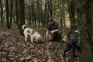 ROME: Truffle Hunting and Lunch with Truffle Dishes