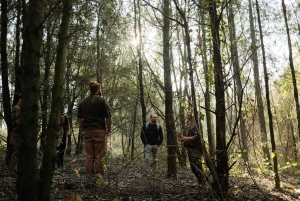 ROME: Truffle Hunting and Lunch with Truffle Dishes