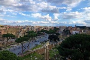 Rome : L'expérience du Vatican et du Colisée avec déjeuner et transferts