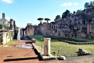 Rome : L'expérience du Vatican et du Colisée avec déjeuner et transferts