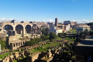 ローマバチカン、コロッセオ、主要広場ツアー（昼食・車付