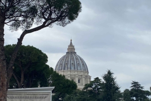 Rooma: Vatikaanin museot & Sikstuksen kappeli Skip-the-Line Entry: Vatikaanin museot & Sikstuksen kappeli