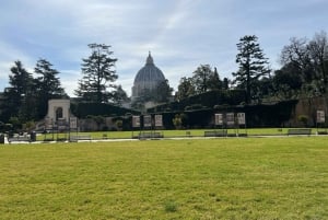 Vatican Museums, Sistine Chapel and St. Peter's Guided Tour