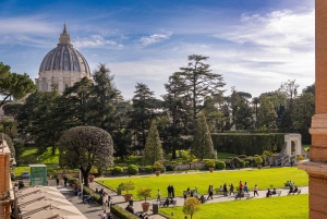 Roma: tour dei Musei Vaticani e della Cappella Sistina con ingresso prioritario