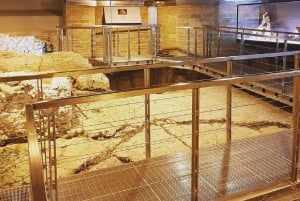 Rom: Vatikanens nekropol och Via Triumphalis, guidad tur