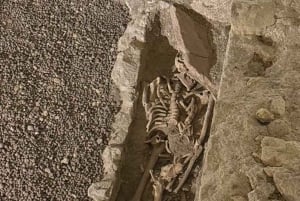 Rom: Vatikanens nekropol och Via Triumphalis, guidad tur