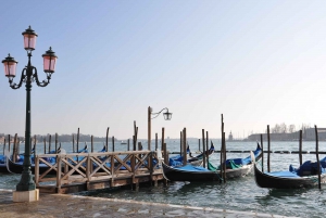 Venice from Rome: Enjoy a full-day tour by high-speed train