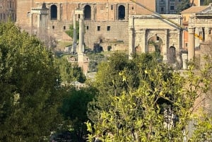 Rome : Expérience VIP du Colisée, du Forum romain et de la colline du Palatinat
