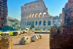 Rome : Expérience VIP du Colisée, du Forum romain et de la colline du Palatinat