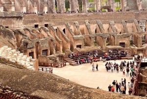 Rome : Expérience VIP du Colisée, du Forum romain et de la colline du Palatinat