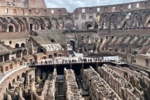 Rome : Expérience VIP du Colisée, du Forum romain et de la colline du Palatinat
