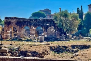 Rome : Expérience VIP du Colisée, du Forum romain et de la colline du Palatinat