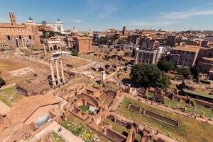 Roma: Colosseo, Musei Vaticani e centro storico in un giorno