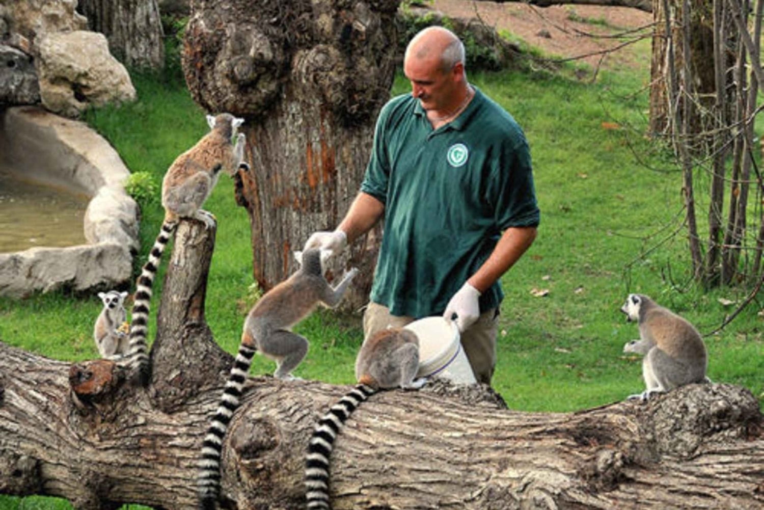 Rom: Indgangsbillet til Villa Borghese Zoo + tur i golfvogn