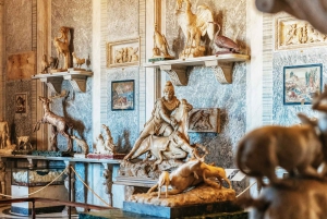 Skip køen-billetter til Vatikanmuseet og Det Sixtinske Kapel