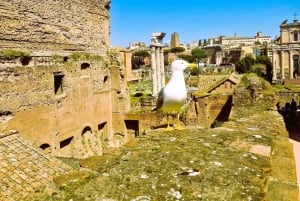 Kleine groep Colosseum Arena Floor, Forum Romanum, Palatijn