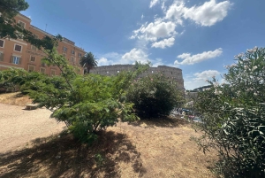 Pienryhmäopastettu kierros Colosseum Rooman foorumi, Palatinus-kukkula