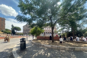 Pienryhmäopastettu kierros Colosseum Rooman foorumi, Palatinus-kukkula