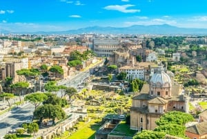 Rom: Lille gruppe (12 personer) Colosseum, Forum og Palatine-tur