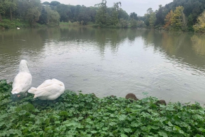Rome, the greenest city in Europe: Tour of the historic parks to St. Peter's