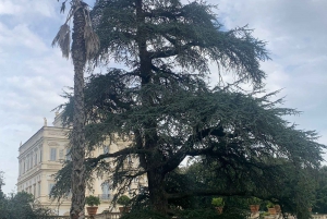 Rome, the greenest city in Europe: Tour of the historic parks to St. Peter's