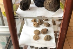 ローマのトリュフ体験