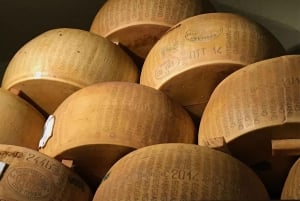 ローマのトリュフ体験