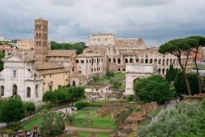 Tour del Colosseo, Foro Romano, Palatino con guida esclusiva